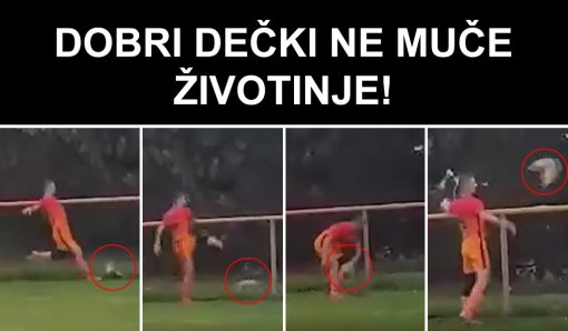 Dobri de�ki ne mu�e �ivotinje [ 198.42 Kb ]