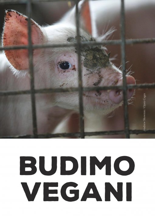 Budimo vegani [ 391.93 Kb ]