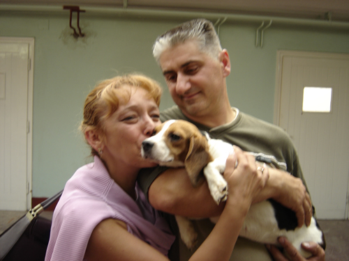 Oslobađanje beagleova 6 Oslobađanje beagleova 6