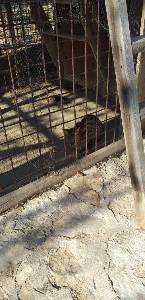 Hvar zoolo�ki [ 530.88 Kb ]