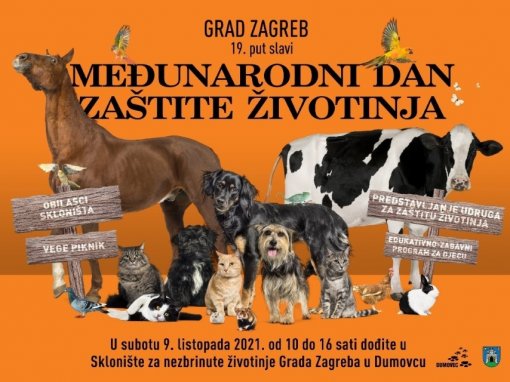 Vege piknik u Dumovcu [ 148.62 Kb ]