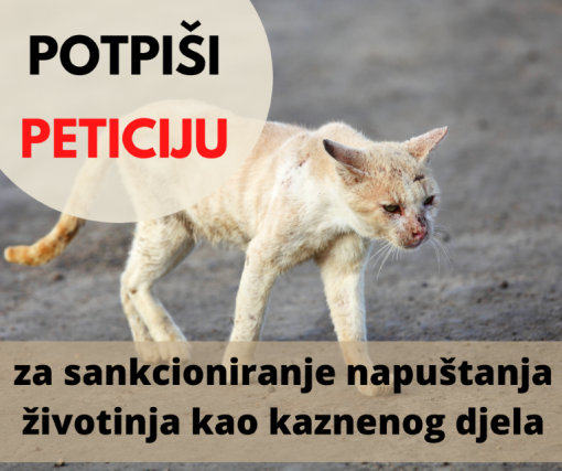 peticija napu�tanje �ivotinja [ 715.86 Kb ]