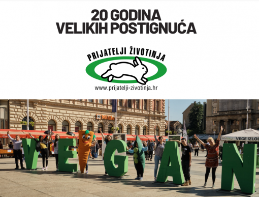 20 postignu�a [ 1.10 Mb ]