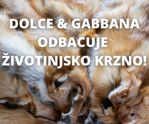 dolce & Gabbana [ 921.32 Kb ]