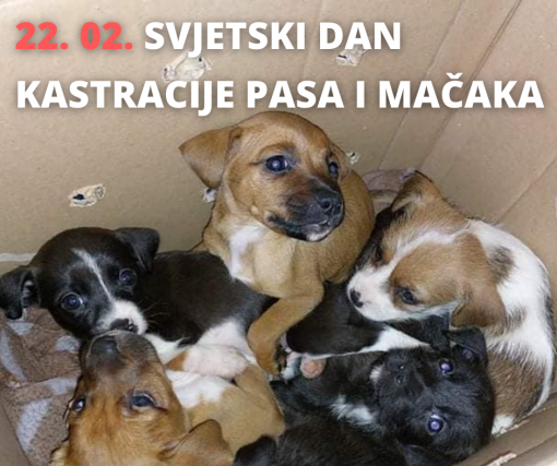 Svjetski dan kastracije 2022. [ 831.73 Kb ]
