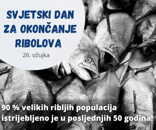 Svjetski dan za okoncanje ribolova [ 698.80 Kb ]