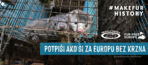 Za Europu bez krzna [ 621.88 Kb ]