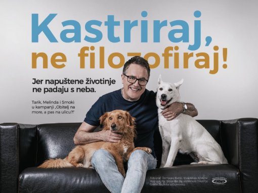 Spay, don't philosophize! [ 116.88 Kb ]