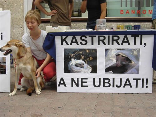 Kastrirati a ne ubijati 2 Kastrirati a ne ubijati 2