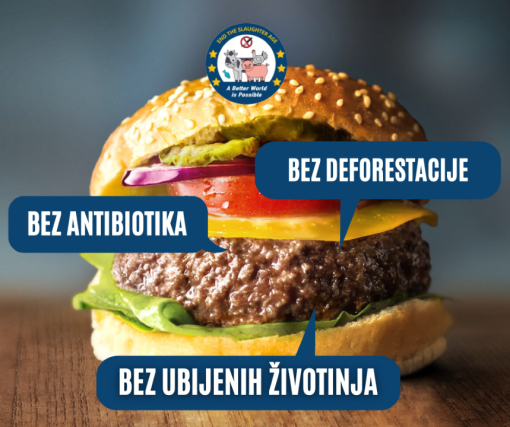 plant based burger [ 678.19 Kb ]