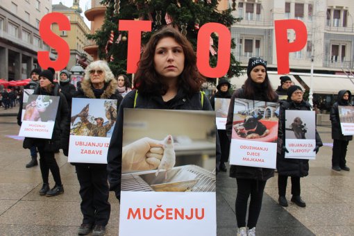 International Animal Rights Day 2023 [ 1.37 Mb ]