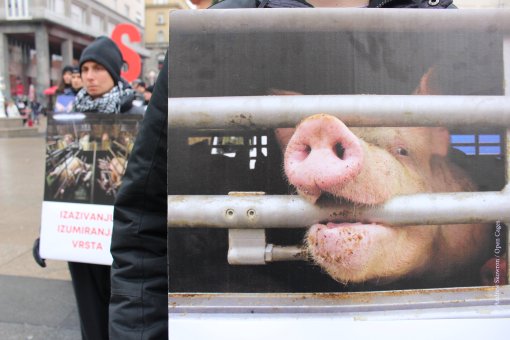 International Animal Rights Day 2023 [ 1.55 Mb ]