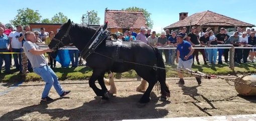 �traparijada strmec 2024 [ 194.47 Kb ]