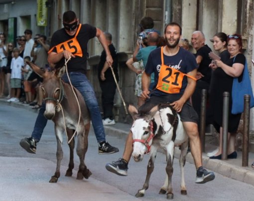 utrke magaraca [ 150.12 Kb ]