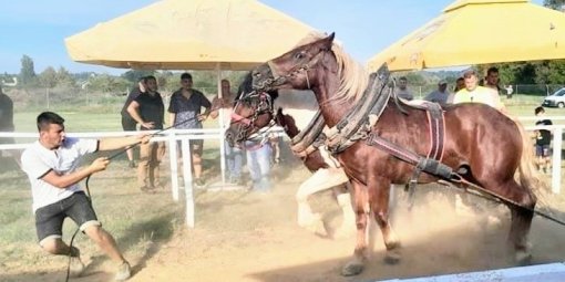 �traparijada [ 113.45 Kb ]