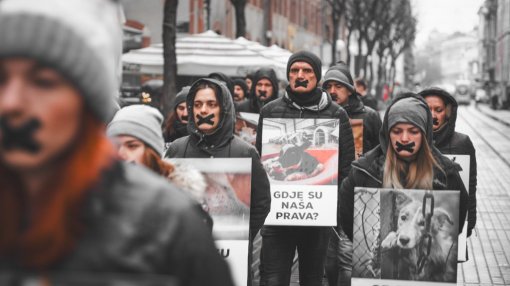 Animal rights day- Photos by David Ramms [ 98.06 Kb ]