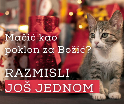 ma�ka za Bo�i� [ 1009.76 Kb ]