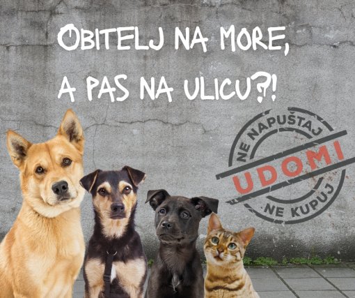 Obitelj na more, a pas na ulicu [ 522.92 Kb ]