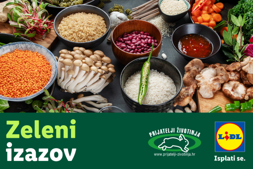 Lidl zeleni izazov [ 1.51 Mb ]