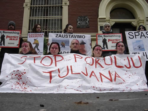 'Krvavi' aktivisti za krvave bebe tuljana 5