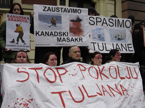 'Krvavi' aktivisti za krvave bebe tuljana 1