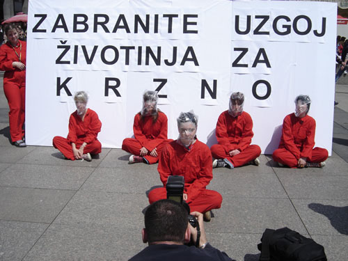 Suffocation for profit (1) Suffocation for profit (1)