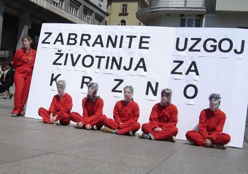 Suffocation for profit (4) Suffocation for profit (4)