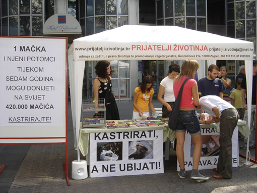 Spaying and Neutering Save Lives-1 Spaying and Neutering Save Lives-1