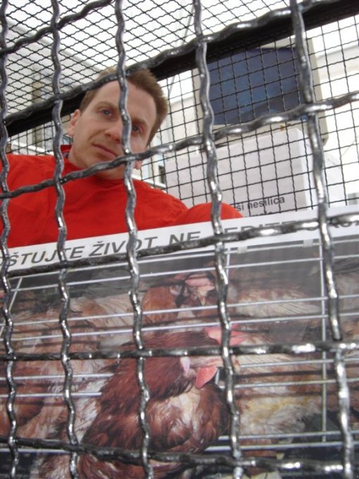 24 hours in a cage 26 24 hours in a cage 26