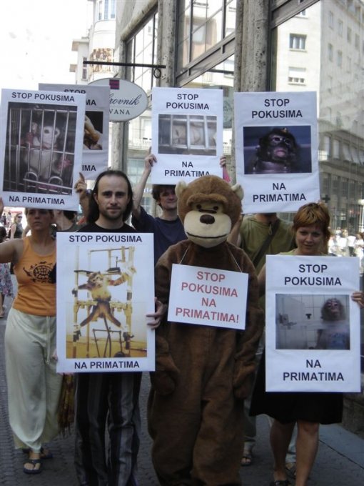 Stop pokusima na primatima 4