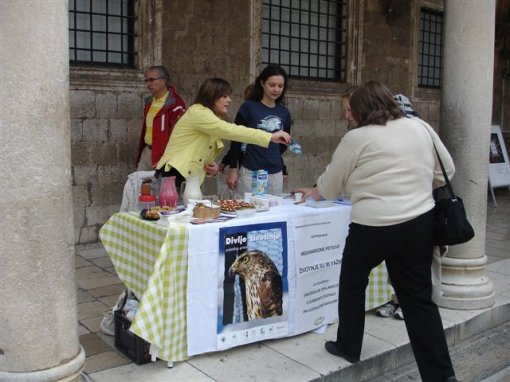 Animal Friends in Dubrovnik [ 77.90 Kb ]