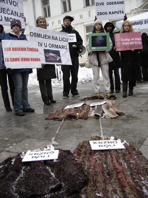 Anti-fur demo in Sarajevo 3 [ 214.22 Kb ]