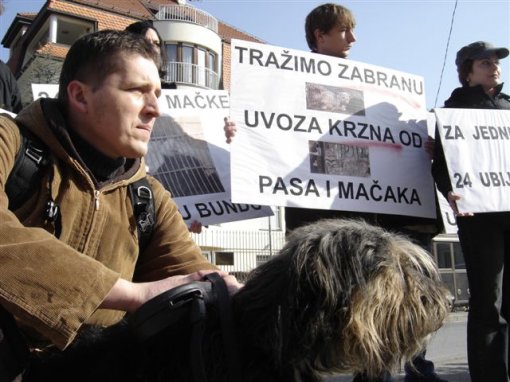 Psi i ma�ke na kaputu [ 80.85 Kb ]