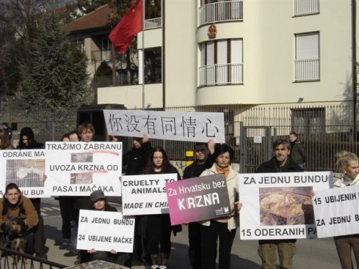 Psi i ma�ke na kaputu2 [ 84.35 Kb ]