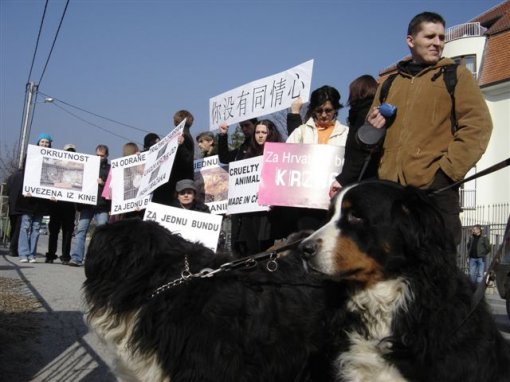 Psi i ma�ke na kaputu3 [ 68.73 Kb ]