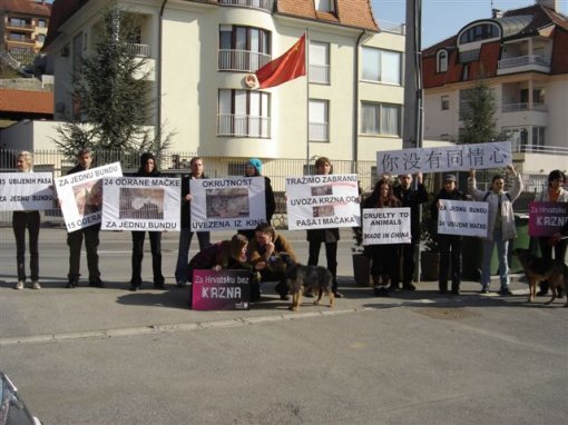 Psi i ma�ke na kaputu4 [ 84.38 Kb ]