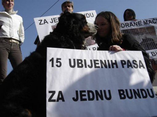 Psi i ma�ke na kaputu5 [ 58.15 Kb ]