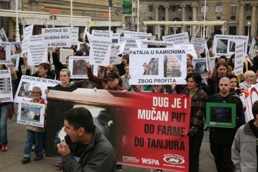 Protest against live animal transport 1 [ 118.00 Kb ]