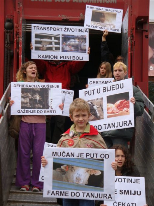 Protest against live animal transport 5 [ 98.82 Kb ]
