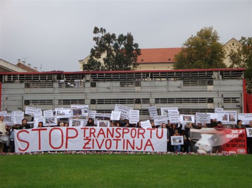 Protest against live animal transport 8 [ 106.70 Kb ]