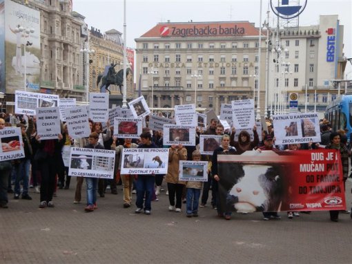 Protest against live animal transport 9 [ 119.52 Kb ]