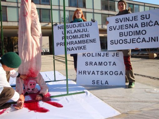 Home slaughter - Osijek [ 132.14 Kb ]