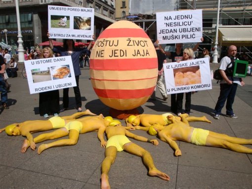 Uskr�nja akcija Zagreb 2009 b [ 119.80 Kb ]