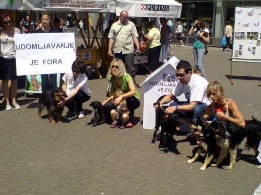 Udomljavanje je fora! [ 146.11 Kb ]