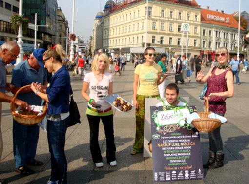 Vege izazov [ 392.69 Kb ]