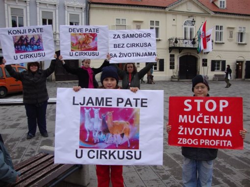 Prosvjed protiv cirkusa u Samoboru 3 [ 112.45 Kb ]