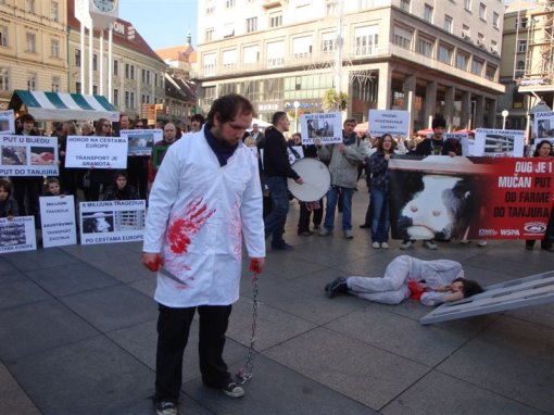 Demo against animal transport 2009 a [ 111.01 Kb ]