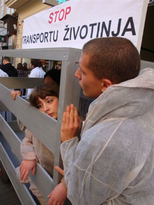 Demo against animal transport 2009 [ 87.04 Kb ]