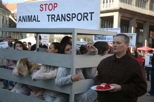 Demo against animal transport 2009 [ 85.46 Kb ]