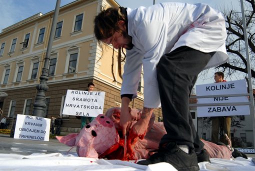 Kolinje, Slavonski Brod 2009 (Foto: Ivica Galovi�/PIXSELL) [ 518.75 Kb ]